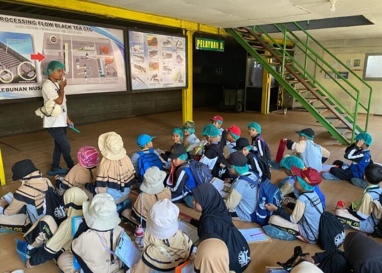 Siswa SD Muhammadiyah 1 Candi Eksplorasi Kebun Teh Wonosari Lawang dalam Visiting Program Edukatif 46 SD Muhammadiyah 1 Candi