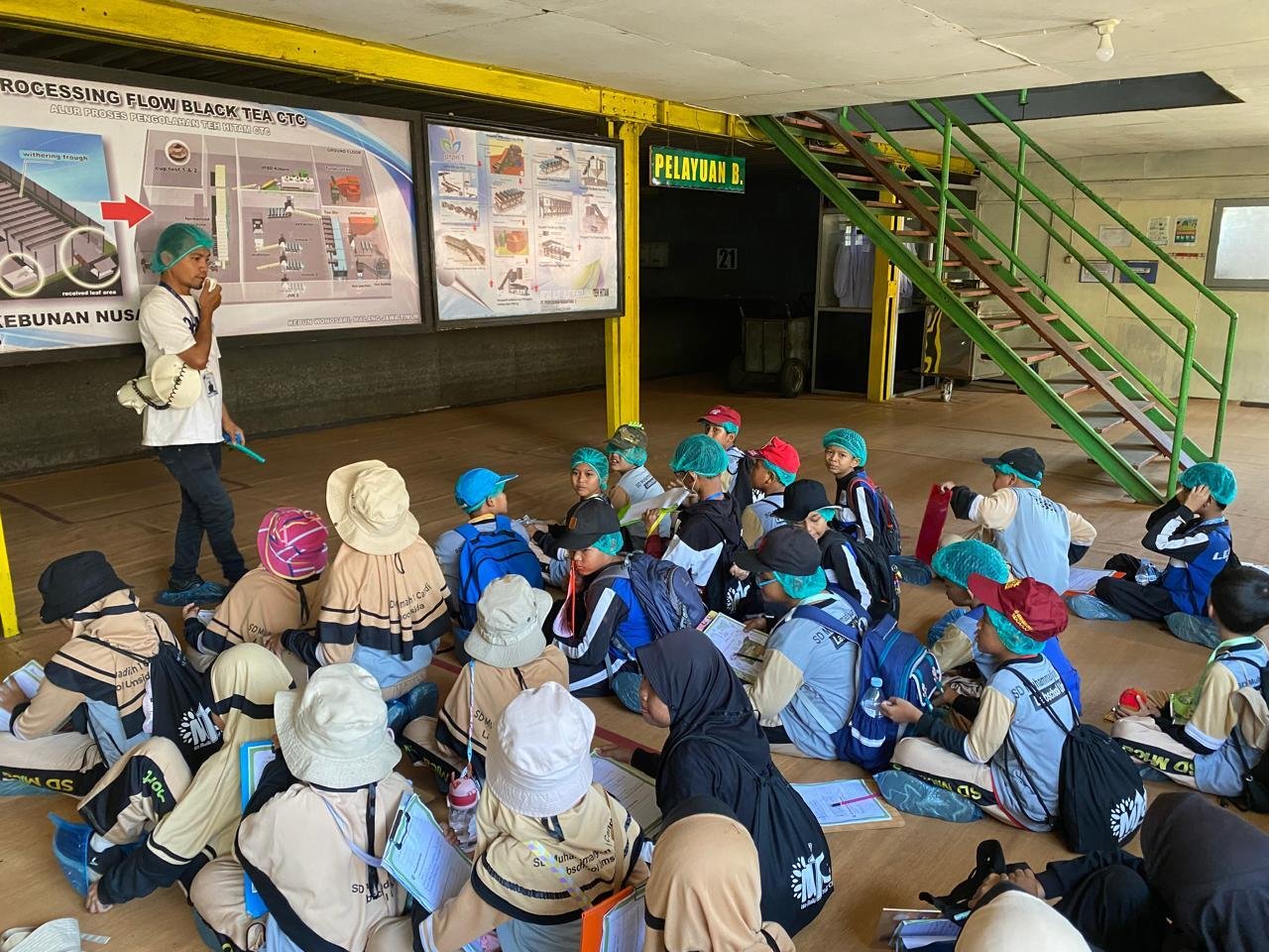 Siswa SD Muhammadiyah 1 Candi Eksplorasi Kebun Teh Wonosari Lawang dalam Visiting Program Edukatif 48 SD Muhammadiyah 1 Candi