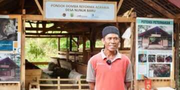 reforma agraria Usaha Ternak Domba