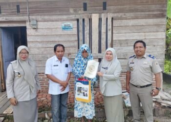 WhatsApp Image 2025 11 13 at 16.32.20