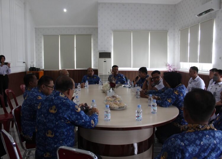 WhatsApp Image 2025 11 17 at 17.34.13