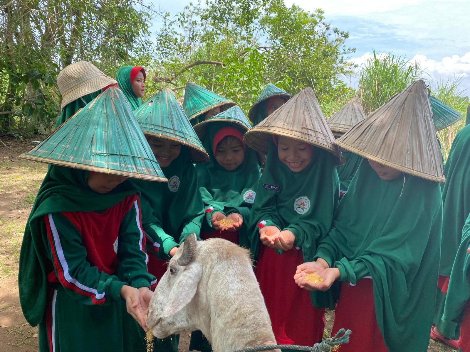Memberi Makan Kambing untuk Berinteraksi langsung ke HewanKonten ini telah tayang di Kompasiana.com dengan judul "Mengenal Alam Lebih Dekat, Rombel 1 SDIT Al-Fadiyah Lakukan Field Trip di Kebun Denassa", Klik untuk baca: https://www.kompasiana.com/alfadiyahschool8419/691c6d25ed6415570e60ec52/mengenal-alam-lebih-dekat-rombel-1-sdit-al-fadiyah-lakukan-field-trip-di-kebun-denassa Kreator: Alfadiyah School Kompasiana adalah platform blog. Konten ini menjadi tanggung jawab bloger dan tidak mewakili pandangan redaksi Kompas. Tulis opini Anda seputar isu terkini di Kompasiana.com