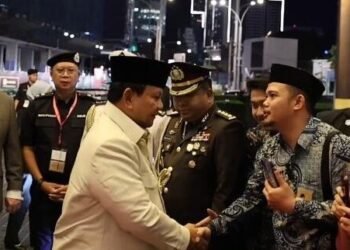 WhatsApp Image 2025 11 18 at 13.43.15