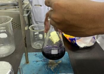 WhatsApp Image 2025 11 20 at 15.51.12