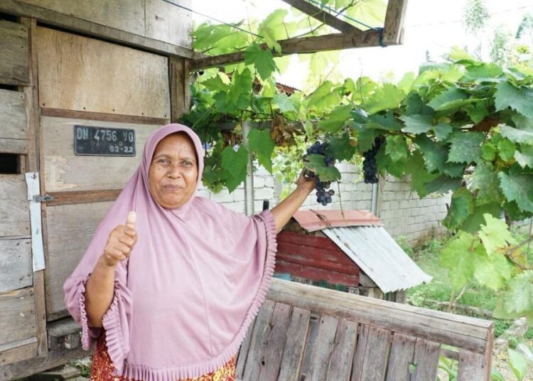 Bukan Hanya bagi Petani, Kampung Reforma Agraria Desa Duyu Juga Bantu Ekonomi Warga Sekitar 46 WhatsApp Image 2025 11 23 at 09.00.29