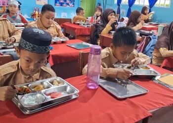 WhatsApp Image 2025 11 24 at 10.00.48 03184262