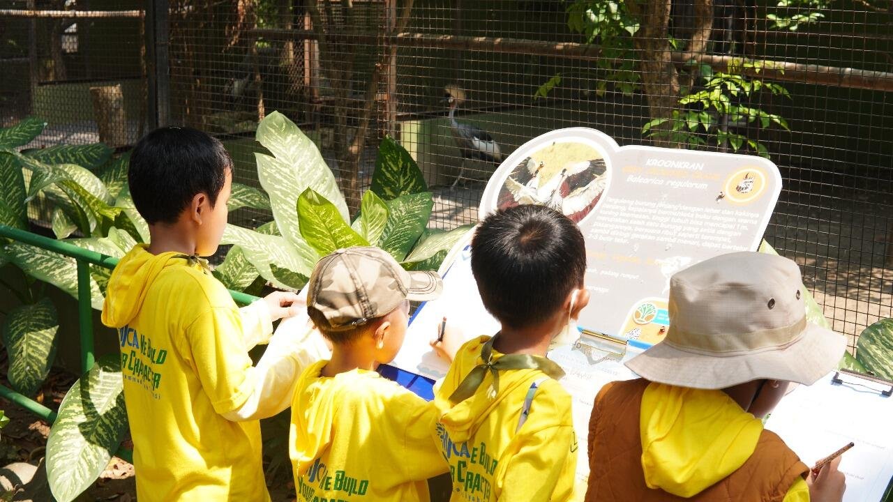 WhatsApp Image 2025 11 25 at 13.49.25