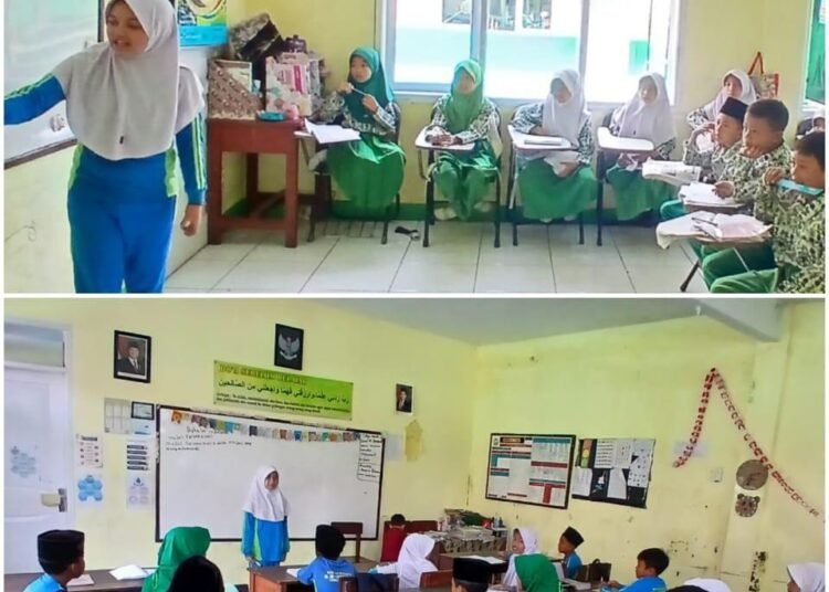 WhatsApp Image 2025 11 26 at 15.41.16