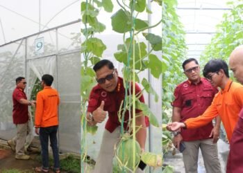 Lapas Bengkulu Siapkan Pelatihan Baru: Budidaya Melon Toboponik untuk WBP 58 Lapas Bengkulu, Pembinaan Kemandirian, Urban Farming, Toboponik Bengkulu, Ikona Melon Toboponik, Julianto Budhi Prasetyono, Direktorat Jenderal Pemasyarakatan, WBP, Pertanian Modern, Kolaborasi Lapas
