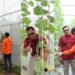 Lapas Bengkulu, Pembinaan Kemandirian, Urban Farming, Toboponik Bengkulu, Ikona Melon Toboponik, Julianto Budhi Prasetyono, Direktorat Jenderal Pemasyarakatan, WBP, Pertanian Modern, Kolaborasi Lapas
