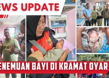 cc628855 8907 4e2e 9f63 c2b9cdc6e641