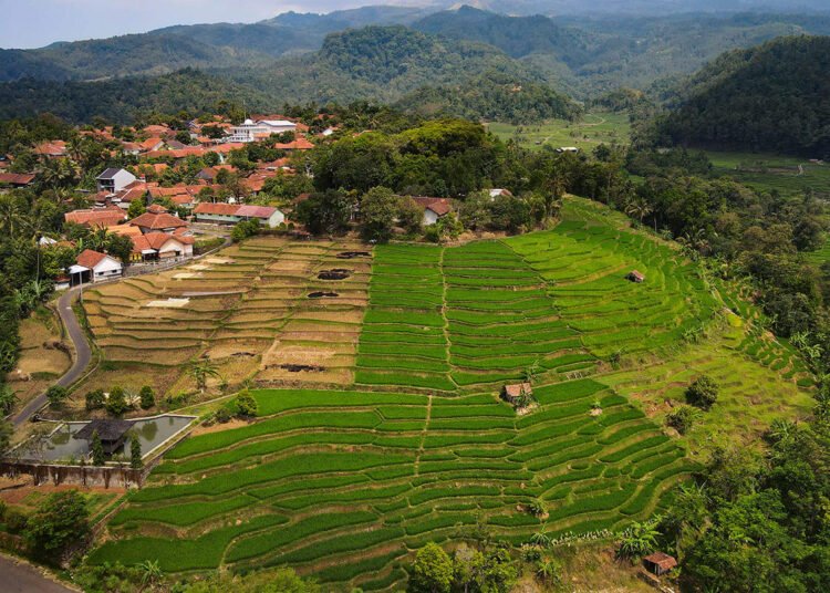 Reforma Agraria Jadi Akhir Perjuangan Menjaga Warisan Leluhur 46 Reforma Agraria