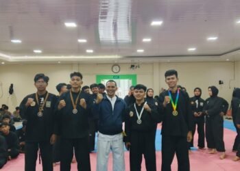 Pencak Silat
