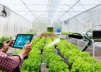 Konsep pertanian modern, Sumber: sultengprov.go.id