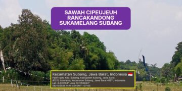 image posting atas