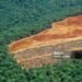 Deforestation in the Amazon - detail of an area