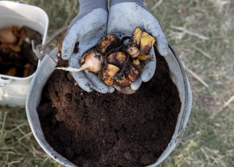 Sumber Ilustrasi: Freepik