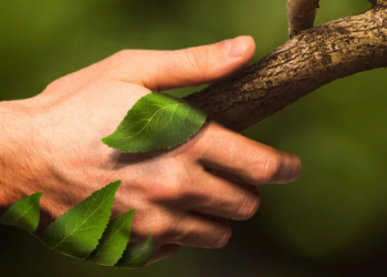 20251218 161816 0000