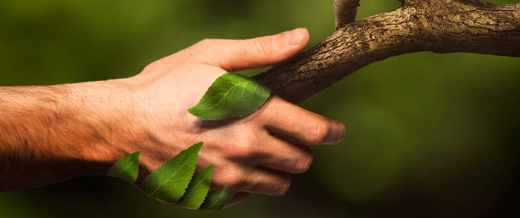 Aksi Hijau sebagai Wujud Bela Negara 46 20251218 161816 0000