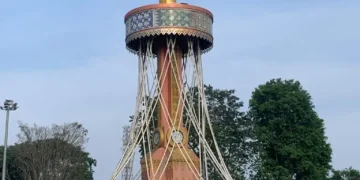 3 6