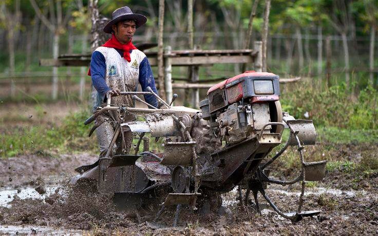 Kebudayaan Cikarang: Identitas Lokal di Tengah Deru Industri 48 cikarang