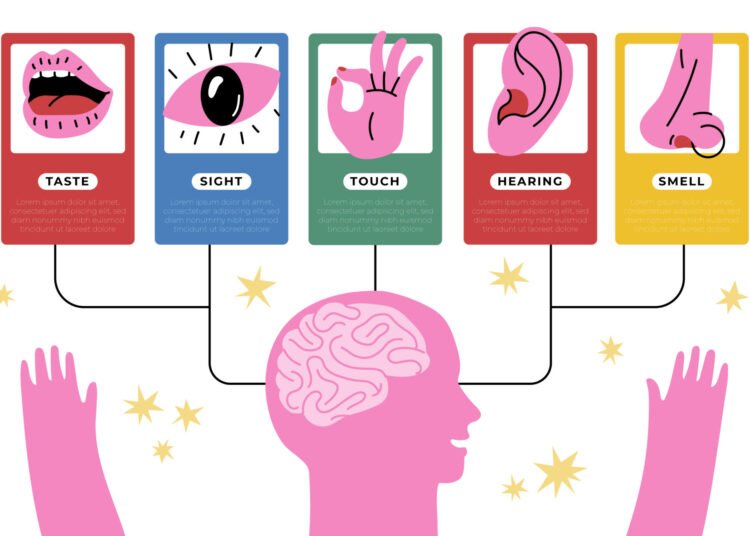 Kabel Otak Anda 'Korslet'? Inilah Rahasia Otak Sinestesia 46 8419055