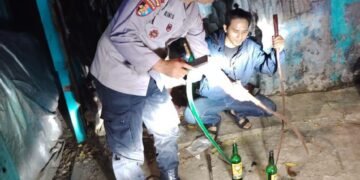 IMG 20251201 WA0028