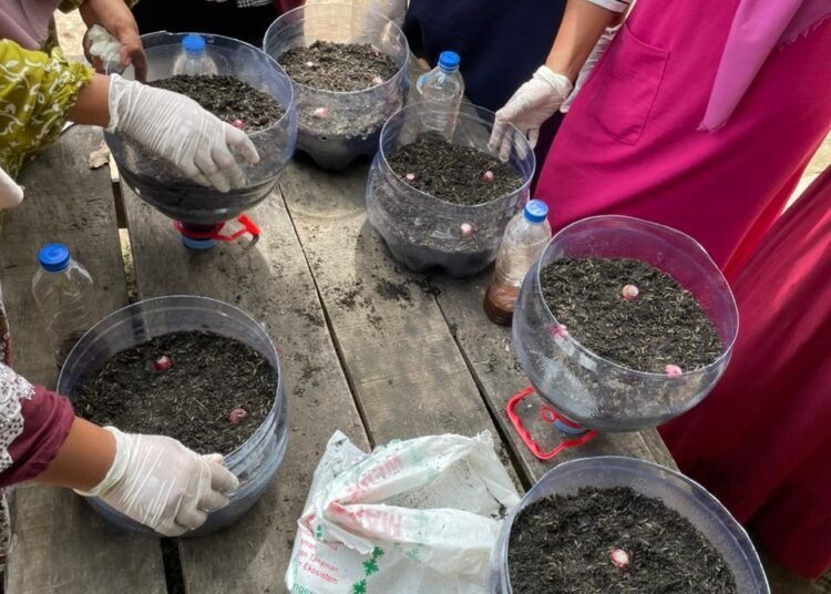 Pemanfaatan Sampah Organik: Warga Diajari Tanam Dapur Hidup dengan Kompos Botol 46 IMG 20251206 WA0184