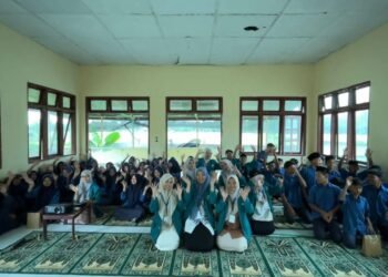 IMG 20251208 WA0003 2