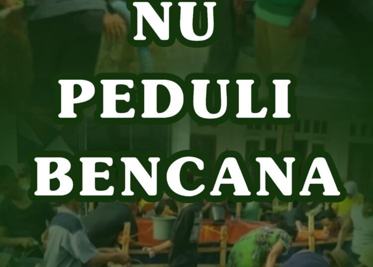 IMG 20251209 WA0041 1