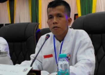 M.Nazril Rifandi - simulasi anggota dewan.