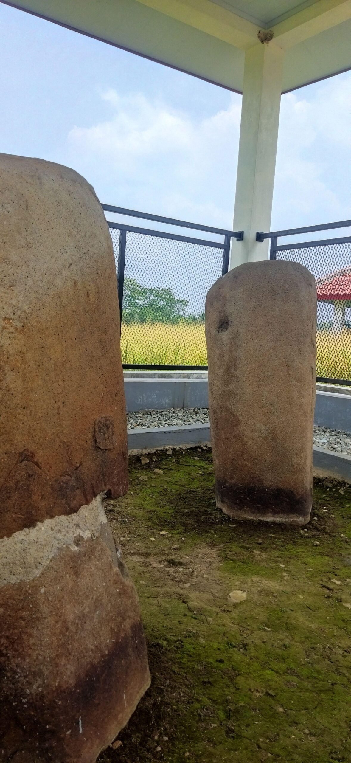 IMG 20251016 110450 scaled