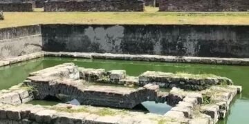 IMG 20251208 161910