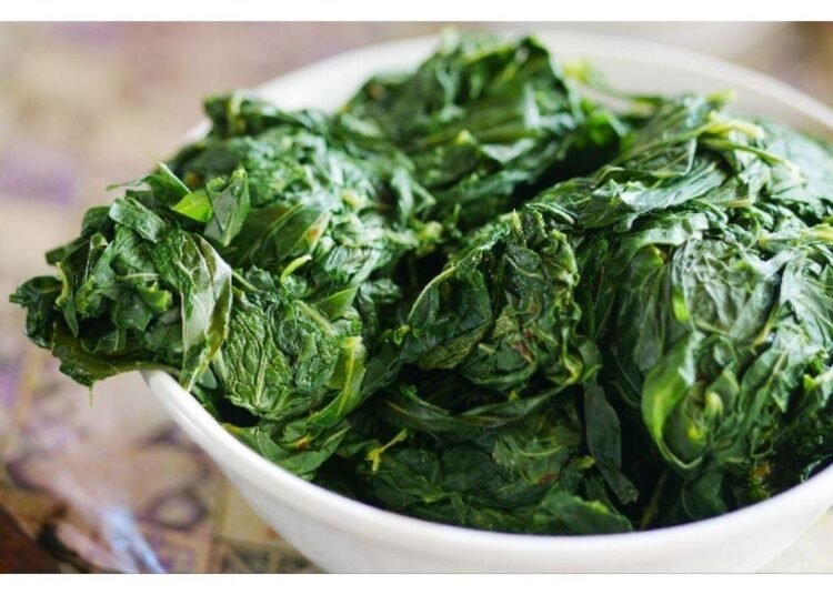 Rahasia di Balik Daun Singkong yang Tetap Hijau Meskipun Direbus Lama 46 IMG 2665