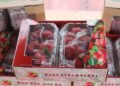 Produk Stroberi Taca Farm Berstandar VietGAP
