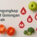 Ilustrasi Makanan Sehat dan Golongan Darah