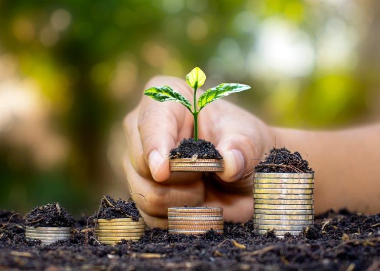 Kebiasaan Menabung Masyarakat Indonesia Bertransformasi: Dari Rutinitas Harian Menuju Pengelolaan Aset Jangka Panjang 46 emas