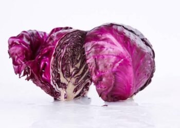 Manfaat Kol Ungu si Rendah Kalori