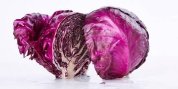 Manfaat Kol Ungu si Rendah Kalori