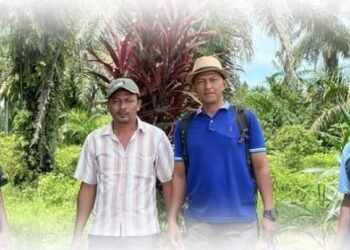 Screenshot 2025 12 04 at 16.11.05