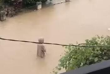 Screenshot 2025 12 13 000720