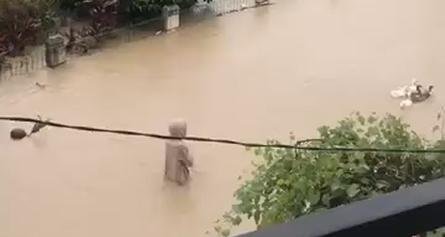 Komunitas Perantau Aceh di Turki Memberikan Donasi Pada Korban Banjir yang Terjadi di Sumatra 46 Screenshot 2025 12 13 000720