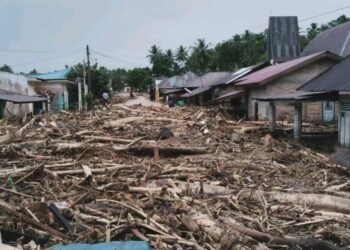 Berubahnya Hutan Menjadi Lahan Sawit Faktor Utama Banjir Bandang