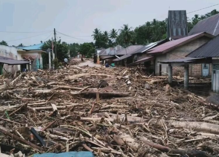 Berubahnya Hutan Menjadi Lahan Sawit Faktor Utama Banjir Bandang