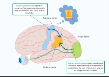 Screenshot 20251201 191744 ChatGPT