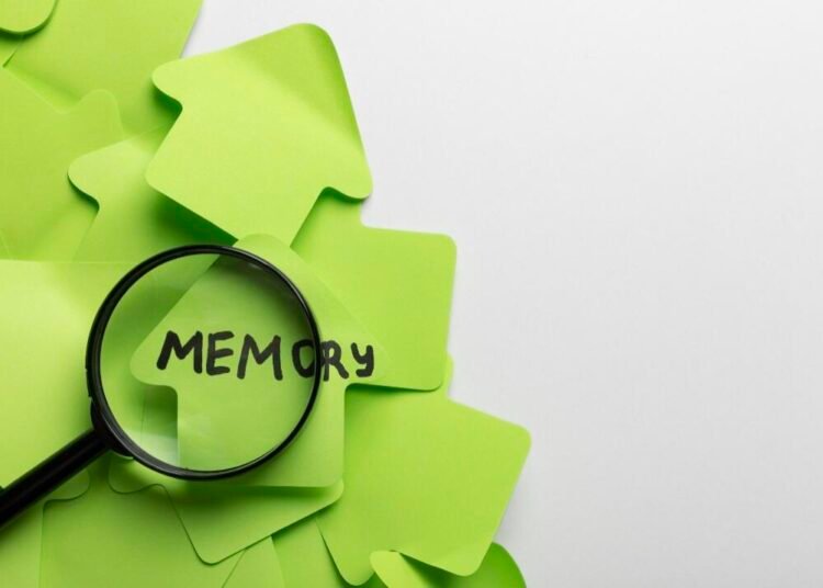 Screenshot 20251202 173742 Gallery