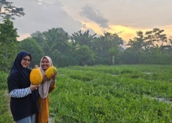 Assaadah Cikeusal Banten