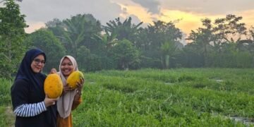 Assaadah Cikeusal Banten