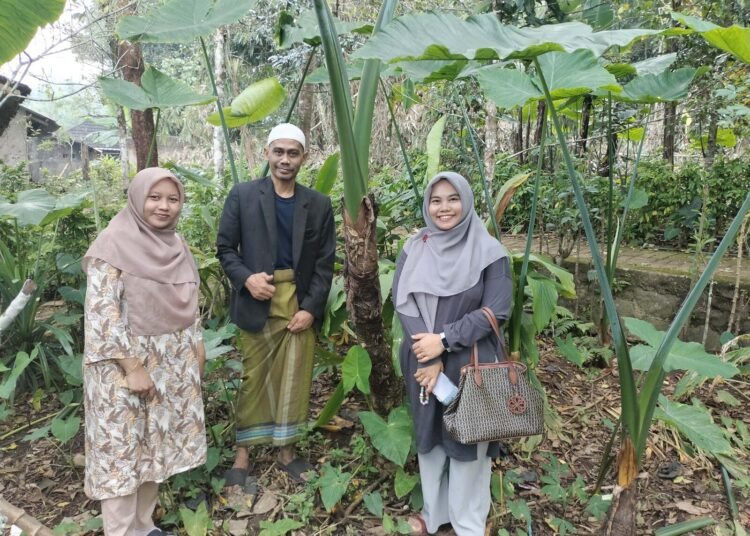 Talas Beneng
