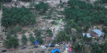 Crane Disulap Jadi Tower Darurat, PLN Terus Fokus Pulihkan Menyeluruh Listrik Aceh 2 Crane Disulap Jadi Tower Darurat, PLN Terus Fokus Pulihkan Menyeluruh Listrik Aceh